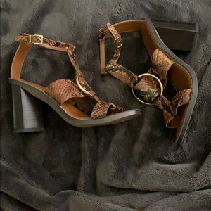 Franco SartoDandelion Sz 6M Classic Snake Leather